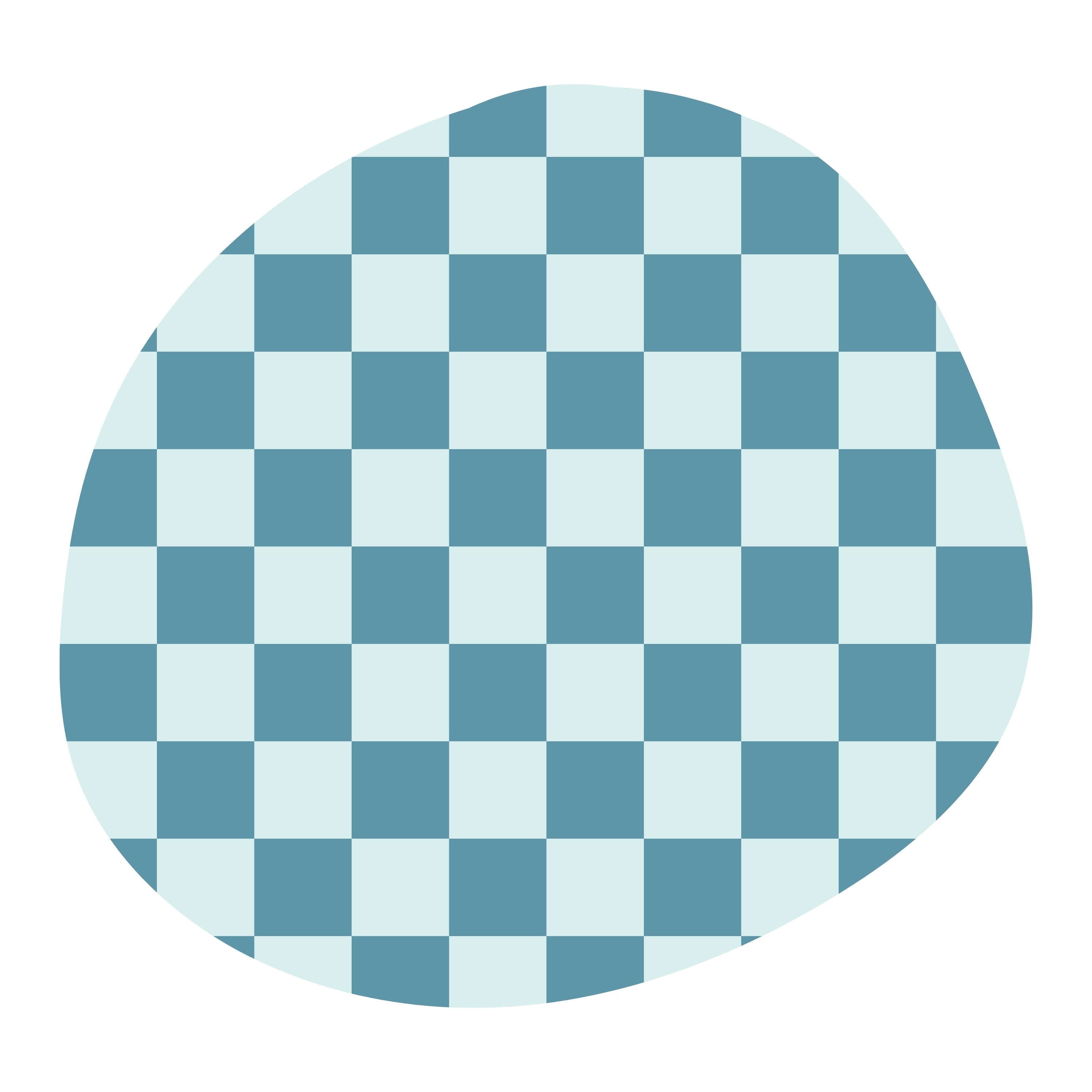 Honolulu Blue Checkers